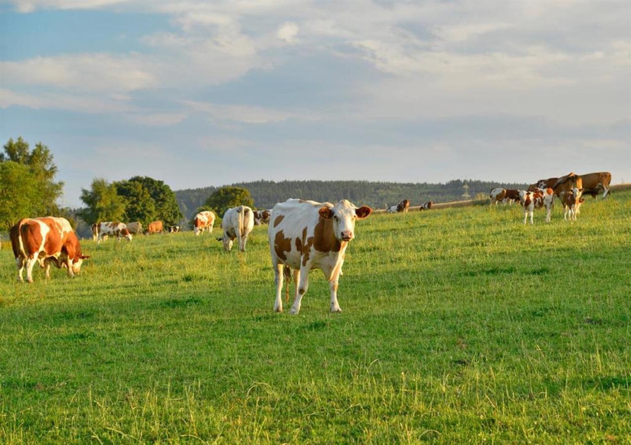 Ferienhof Kuerschner Drebach Exterior foto